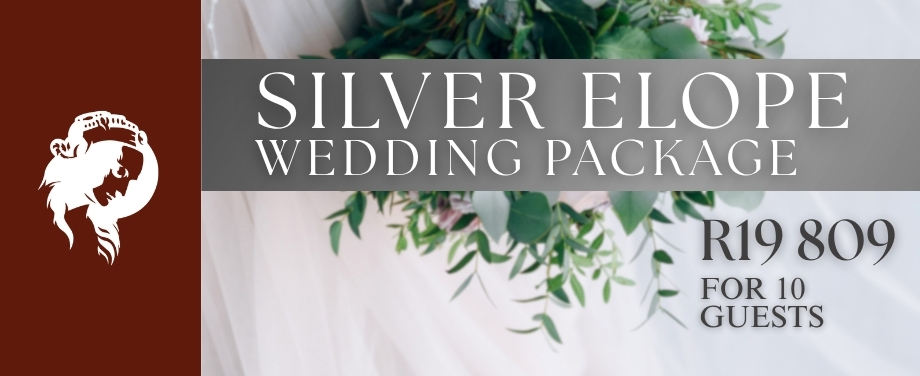 Elope Weddings - Silver